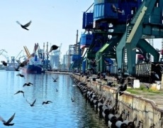 Перевантаження зерна в Миколаївському порту зросло на 80%